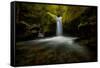 chasm-falls-1-Lincoln Harrison-Framed Stretched Canvas