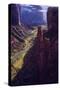 Chasm of Dreams-R.W. Hedge-Stretched Canvas