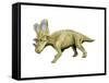 Chasmosaurus Dinosaur-null-Framed Stretched Canvas