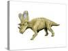 Chasmosaurus Dinosaur-null-Stretched Canvas