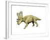 Chasmosaurus Dinosaur-null-Framed Art Print