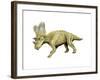 Chasmosaurus Dinosaur-null-Framed Art Print