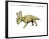 Chasmosaurus Dinosaur-null-Framed Art Print