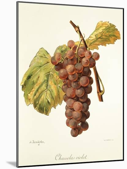 Chasselas Violet Grape-A. Kreyder-Mounted Giclee Print