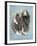 Chasseur-Barbara Keith-Framed Giclee Print