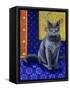 Chat Chartreux, Series I-Isy Ochoa-Framed Stretched Canvas