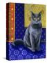 Chat Chartreux, Series I-Isy Ochoa-Stretched Canvas