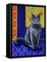 Chat Chartreux, Series I-Isy Ochoa-Framed Stretched Canvas