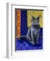 Chat Chartreux, Series I-Isy Ochoa-Framed Giclee Print