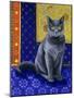 Chat Chartreux, Series I-Isy Ochoa-Mounted Giclee Print