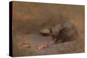 Chat Mangeant by Eugene Carriere-Eugene Carriere-Stretched Canvas