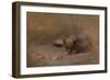 Chat Mangeant by Eugene Carriere-Eugene Carriere-Framed Giclee Print