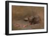 Chat Mangeant by Eugene Carriere-Eugene Carriere-Framed Giclee Print