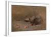 Chat Mangeant by Eugene Carriere-Eugene Carriere-Framed Giclee Print