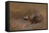 Chat Mangeant by Eugene Carriere-Eugene Carriere-Framed Stretched Canvas