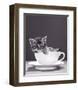 Chat-Tasse-null-Framed Art Print