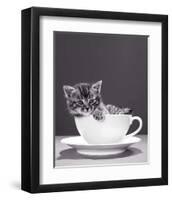 Chat-Tasse-null-Framed Art Print