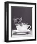 Chat-Tasse-null-Framed Art Print