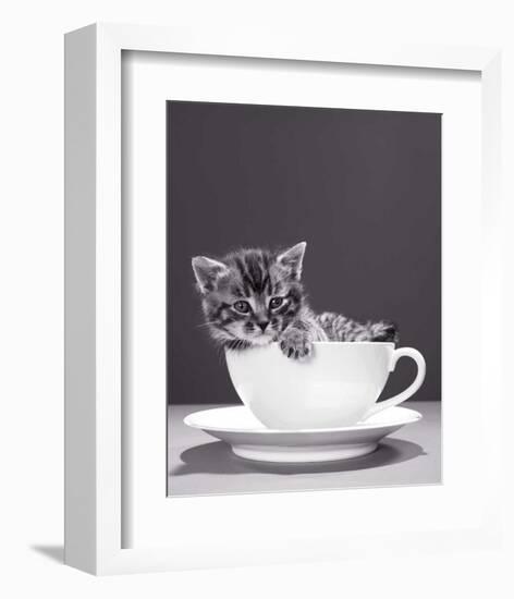 Chat-Tasse-null-Framed Art Print