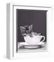 Chat-Tasse-null-Framed Art Print