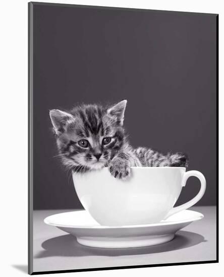 Chat-Tasse-null-Mounted Art Print