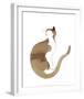 Chat-Aurore De La Morinerie-Framed Art Print