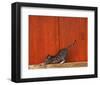 Chat-Hans Silvester-Framed Art Print