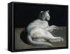 Chat-Théodore Géricault-Framed Stretched Canvas