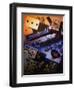 Chatbird-Craig Satterlee-Framed Photographic Print