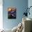 Chatbird-Craig Satterlee-Mounted Photographic Print displayed on a wall