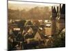 Chateau and Town, Langeais, Indre-Et-Loire, Loire Valley, Centre, France-David Hughes-Mounted Photographic Print