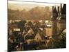 Chateau and Town, Langeais, Indre-Et-Loire, Loire Valley, Centre, France-David Hughes-Mounted Photographic Print