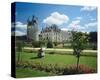 Chateau Chenonceaux, France-null-Stretched Canvas