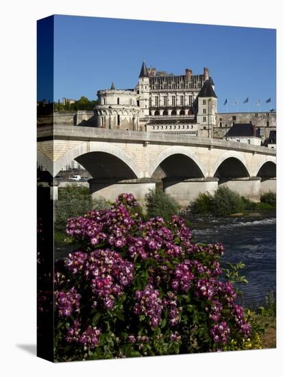 Chateau D'Amboise on the River Loire, Indre-Et-Loire, Loire Valley, France-Dallas & John Heaton-Stretched Canvas