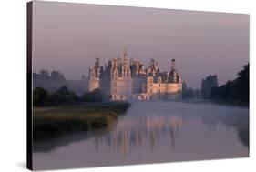 Chateau De Chambord Park - Val De Loire, France-Florian Monheim-Stretched Canvas