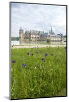 Chateau de Chantilly, Chantilly, France-Lisa S. Engelbrecht-Mounted Photographic Print