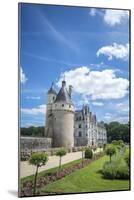 Chateau de Chenonceau, Chenonceaux, France-Jim Engelbrecht-Mounted Photographic Print