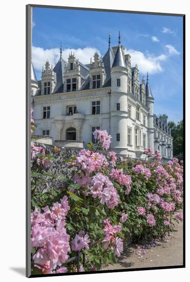 Chateau de Chenonceau, Chenonceaux, France-Lisa S. Engelbrecht-Mounted Photographic Print