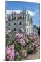 Chateau de Chenonceau, Chenonceaux, France-Lisa S. Engelbrecht-Mounted Photographic Print