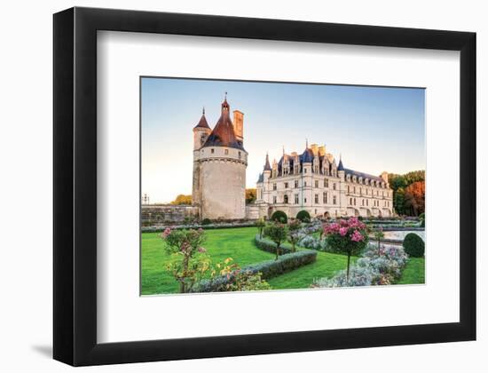 Chateau De Chenonceau France-null-Framed Art Print