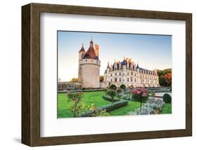 Chateau De Chenonceau France-null-Framed Art Print