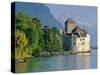 Chateau De Chillon, Montreux, Lake Geneva, Swiss Riviera, Switzerland-Gavin Hellier-Stretched Canvas