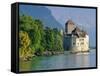 Chateau De Chillon, Montreux, Lake Geneva, Swiss Riviera, Switzerland-Gavin Hellier-Framed Stretched Canvas