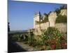 Chateau De Chinon, Indre-et-Loire, Loire Valley, France, Europe-Harding Robert-Mounted Photographic Print