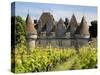 Chateau De Monbazillac, Monbazillac, Dordogne, France, Europe-Peter Richardson-Stretched Canvas