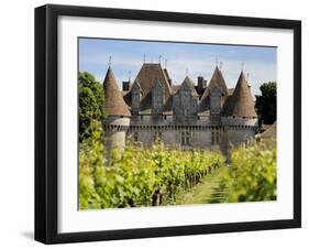 Chateau De Monbazillac, Monbazillac, Dordogne, France, Europe-Peter Richardson-Framed Photographic Print