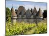 Chateau De Monbazillac, Monbazillac, Dordogne, France, Europe-Peter Richardson-Mounted Photographic Print