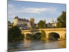 Chateau De Pau, Pau, Pyrenees-Atlantiques, Aquitaine, France-Doug Pearson-Mounted Photographic Print