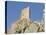 Chateau De Peyrepertuse, a Cathar Castle, Languedoc, France, Europe-Tony Waltham-Stretched Canvas