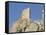 Chateau De Peyrepertuse, a Cathar Castle, Languedoc, France, Europe-Tony Waltham-Framed Stretched Canvas